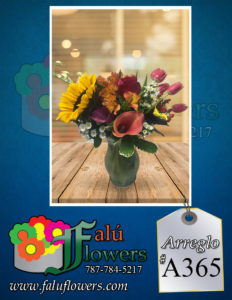 Faluflowersarreglo_A365-232x300 Arreglos 