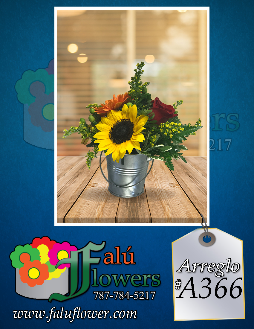 Faluflowersarreglo_A366 Arreglos 