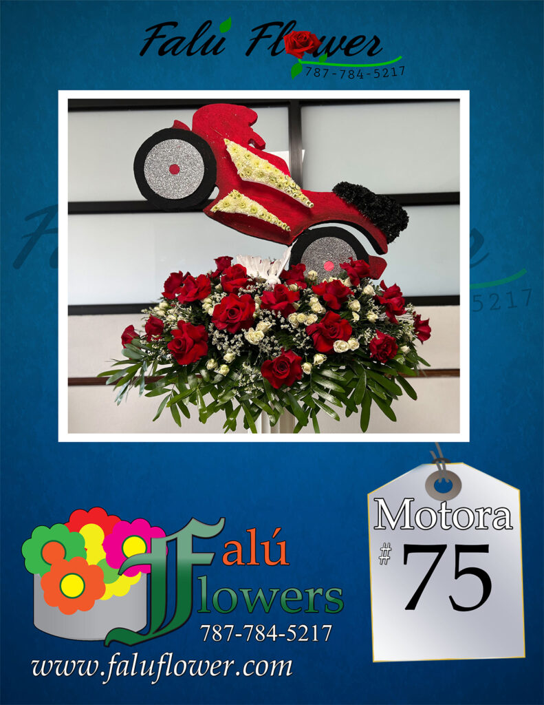 Faluflowerscorona_75a-791x1024 Coronas 
