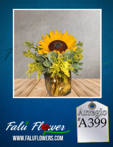 Faluflowersarreglo_13-232x300 Arreglos 