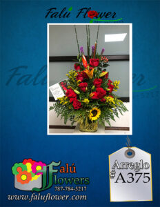 Faluflowersarreglo_A375-1-232x300 Arreglos 