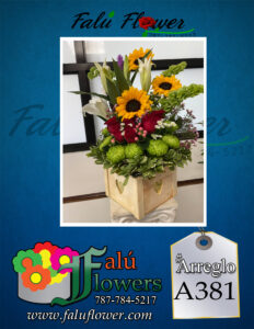 Faluflowersarreglo_A381-232x300 Arreglos 