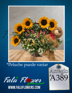Faluflowersarreglo_A389-232x300 Arreglos 