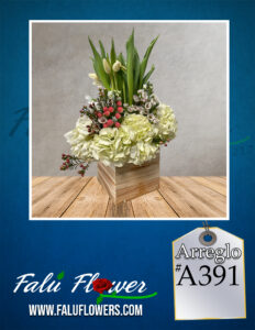 Faluflowersarreglo_A391-232x300 Arreglos 