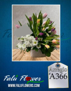 Faluflowersarreglo_A366-232x300 Arreglos 