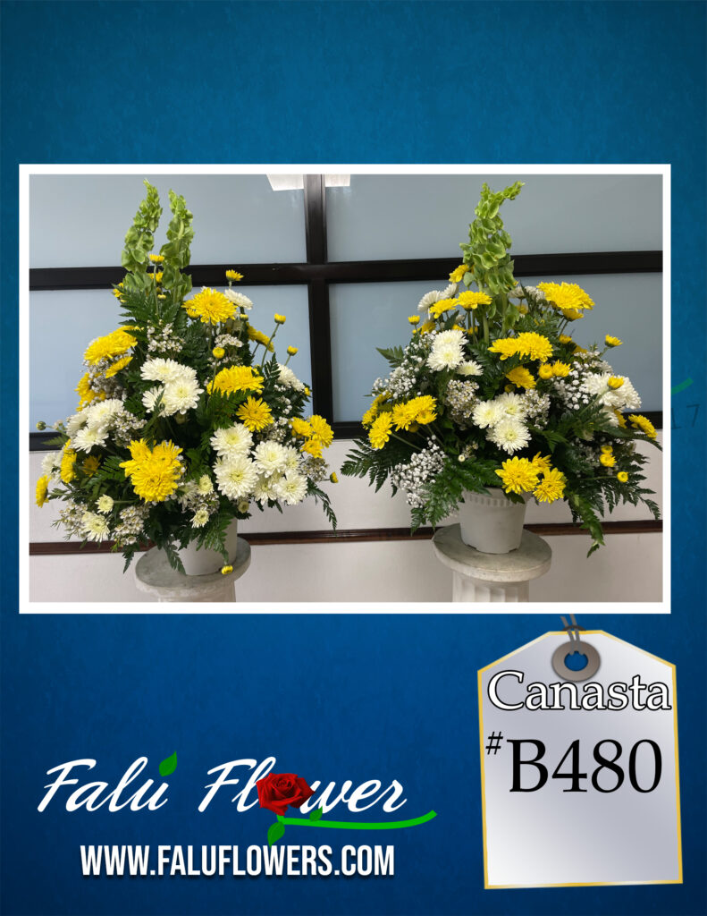 Faluflowerscorona_B480-791x1024 Coronas 