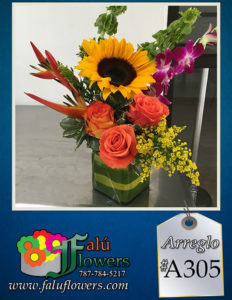 Faluflowersarreglo_A305-232x300 Arreglos 