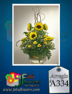 Faluflowersarreglo_A334-232x300 Arreglos 