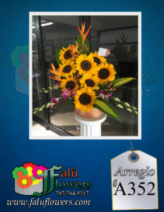 Faluflowersarreglo_A352-232x300 Arreglos 