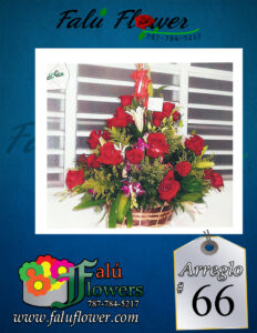 Faluflowersarreglo_66-232x300 Arreglos 