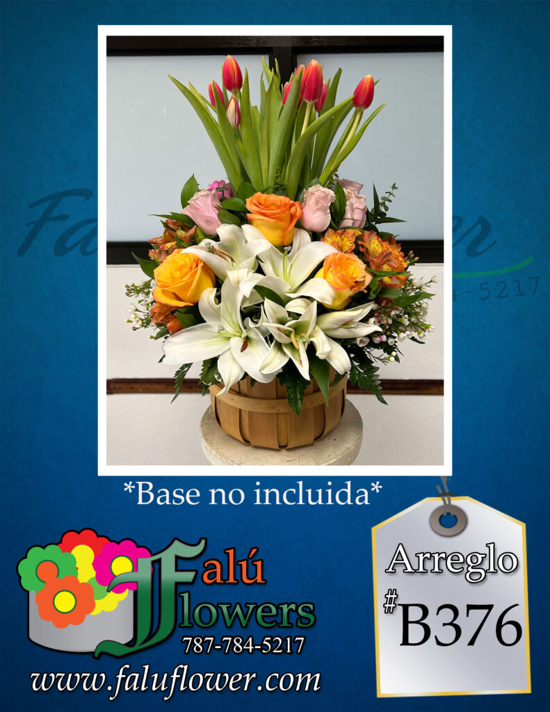 faluflowerscoronas_B376-791x1024 Coronas 